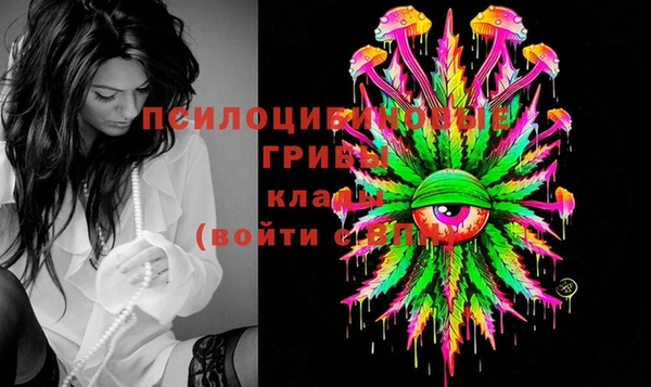 герыч Дмитриев