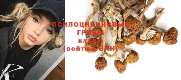 тгк Каменногорск
