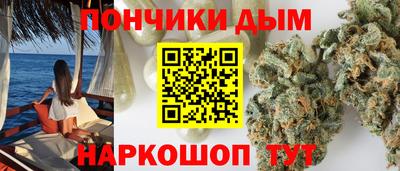 шишки Балашиха