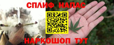 шишки Балашиха
