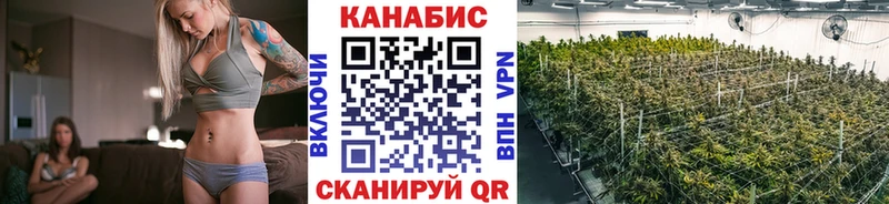 купить наркотик  Благодарный  Шишки марихуана AK-47 